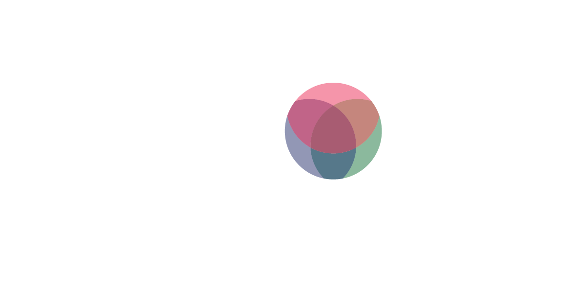 Visions Internships logo
